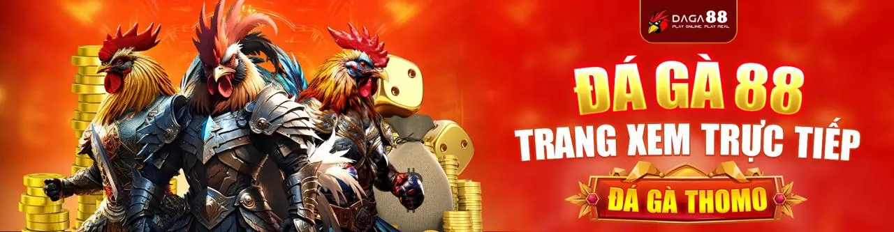 Đá gà trực tuyến tại Sodo88 nhà cái